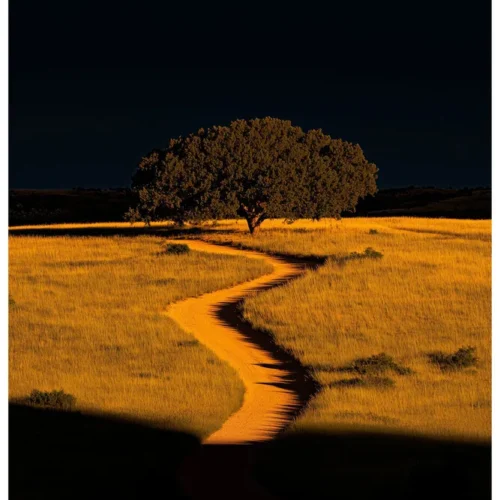 Vibrant Colors No.12 - Dusk Symphony