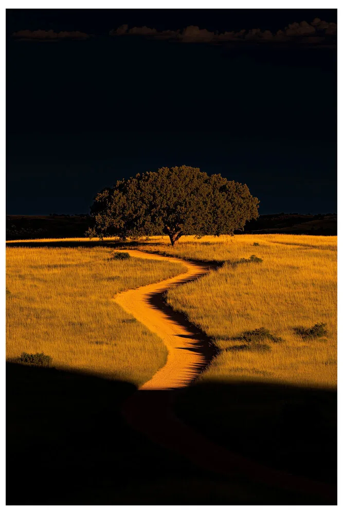 Vibrant Colors No.12 - Dusk Symphony