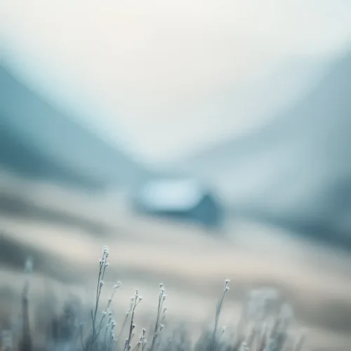 Weird Colors No.25 - Quies in Nebula