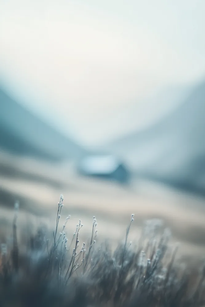 Weird Colors No.25 - Quies in Nebula