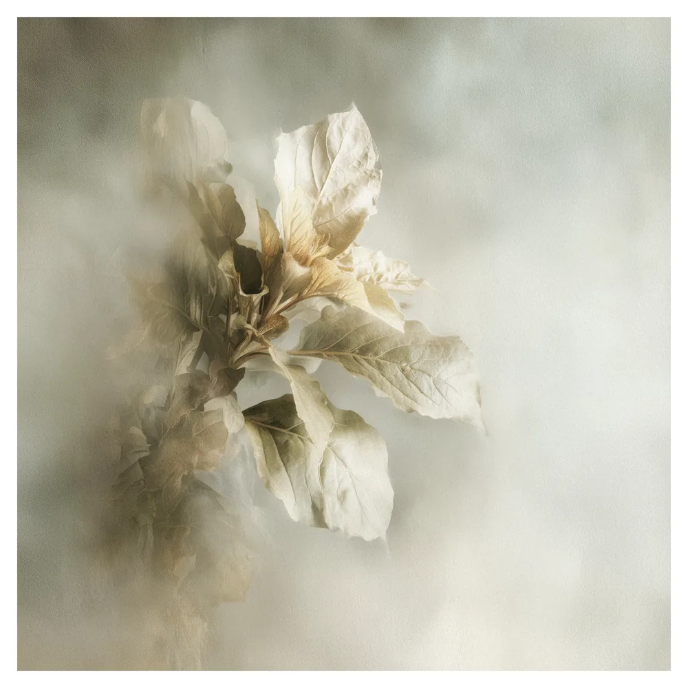 Quiet Flowers No.16 - Nebula Foliorum