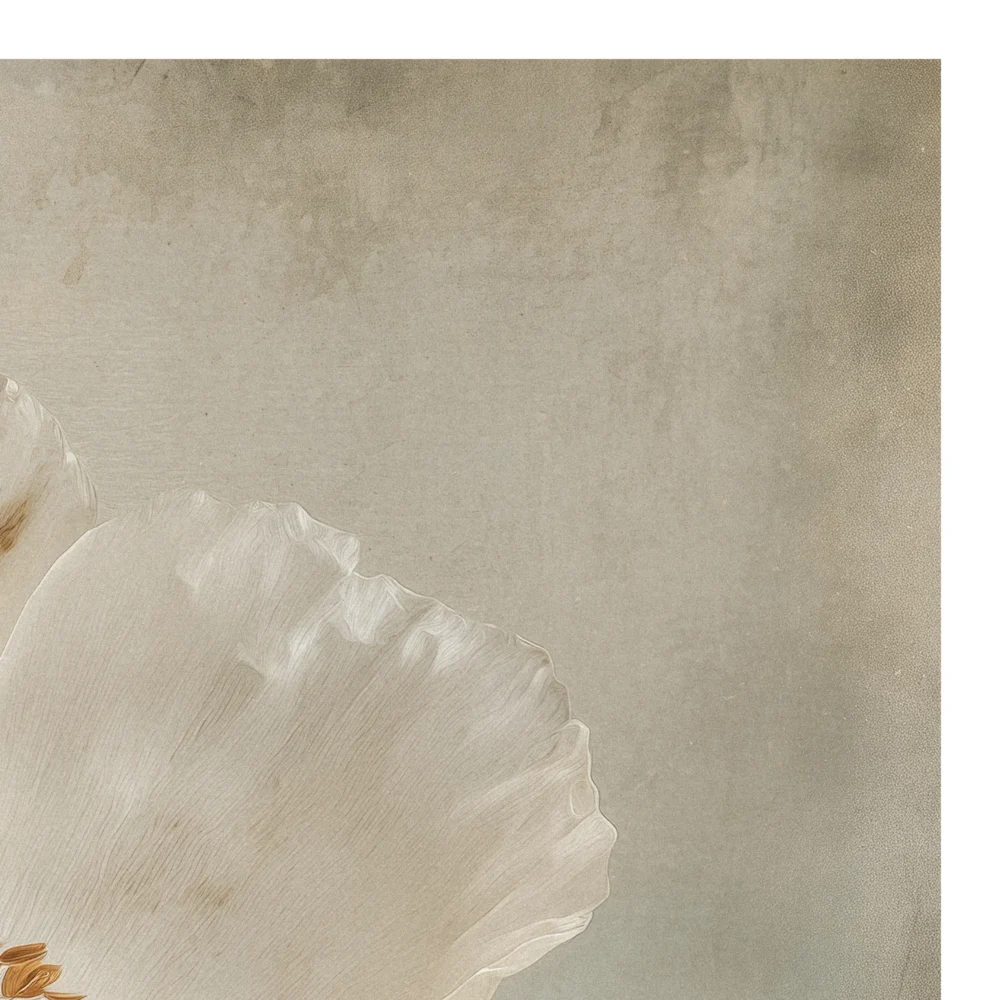 Quiet Flowers No.18 - Materia Fragilis