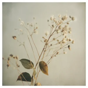 Quiet Flowers No.21 - Fragilitas Aeterna