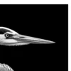Vita Ferina No.29 - Ardea Silens_crop4 Vita Ferina No.29 - Ardea Silens