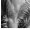 Vita Ferina No.36 - Veloce Spiritus_crop2 Vita Ferina No.36 – Veloce Spiritus
