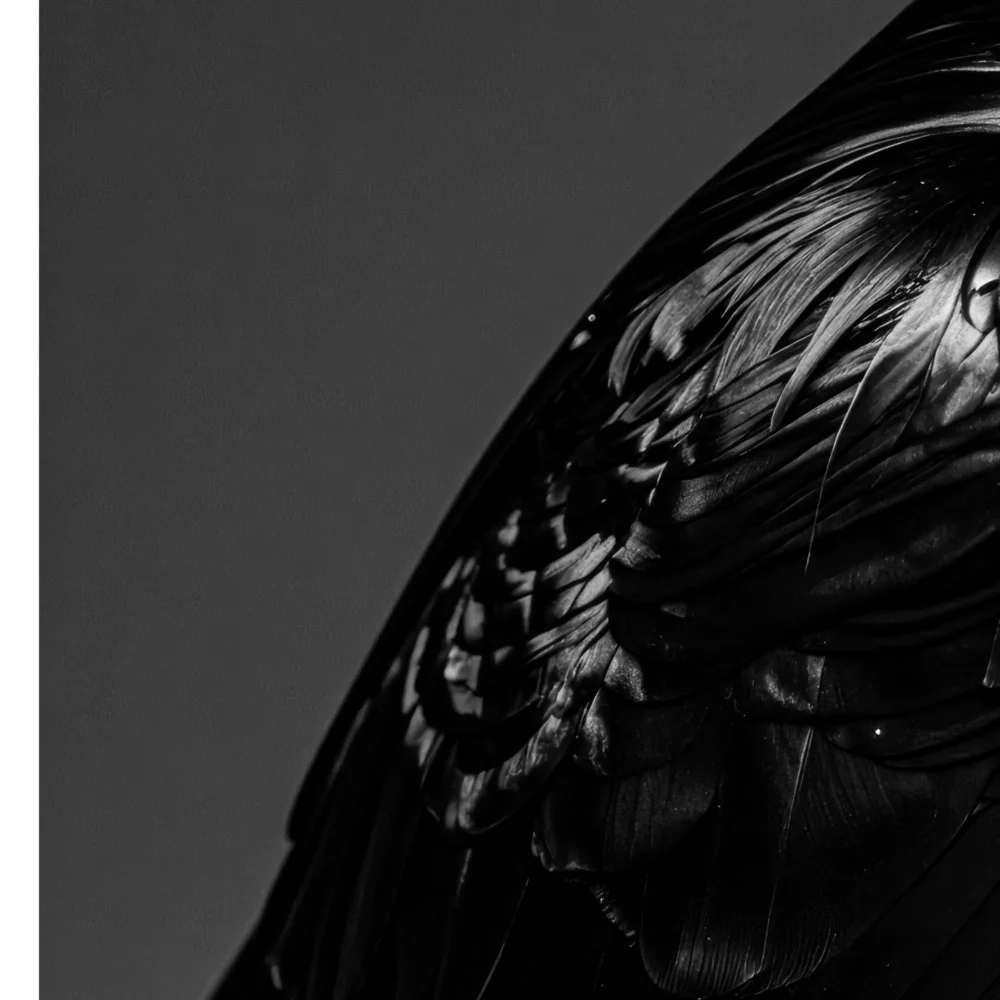 Vita Ferina No.38 – Corvus Noctis