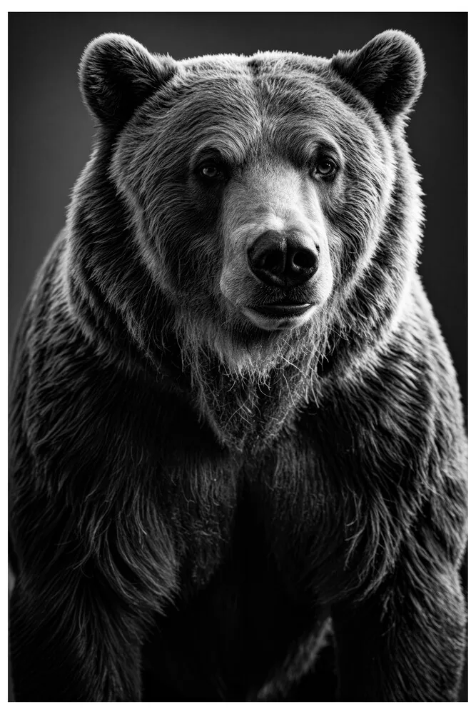 Vita Ferina No.45 - Ursus Silvarum Vita Ferina No.45 - Ursus Silvarum