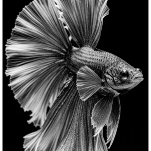 Vita Ferina No.52 – Fluiditas Regalis