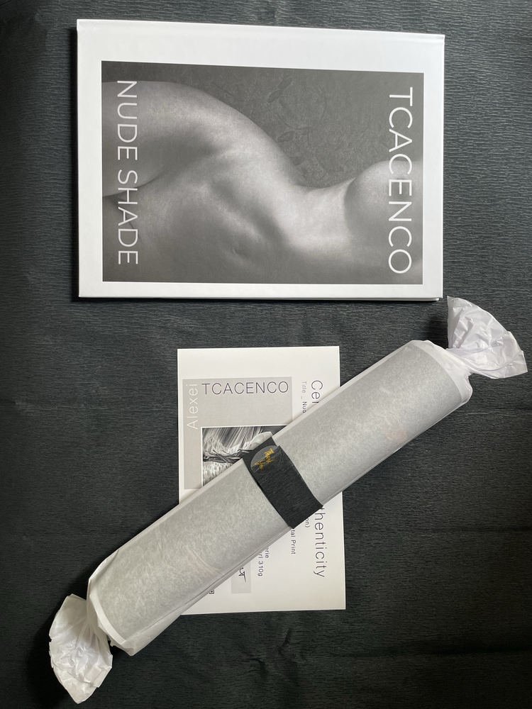 Nude Shade — Artist Book